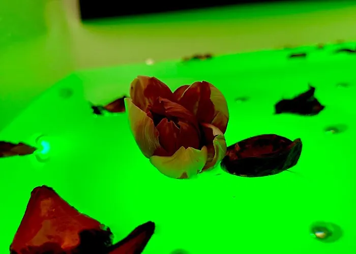 Sole&luna Boutique - Center Apartamento