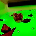 Sole&luna Boutique - Center Appartamento